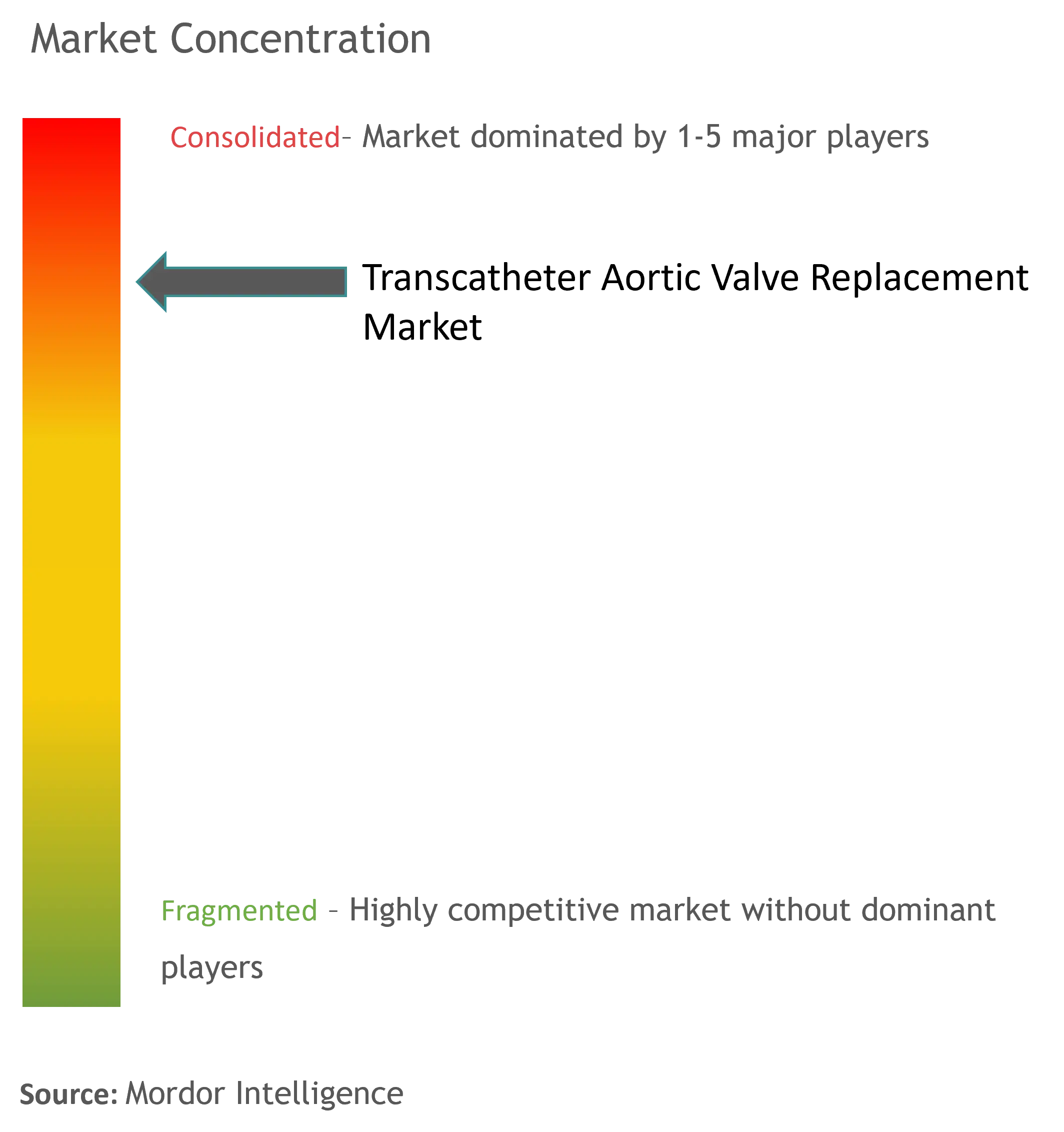 Transcatheter Aortic Valve Replacement Market Concentration