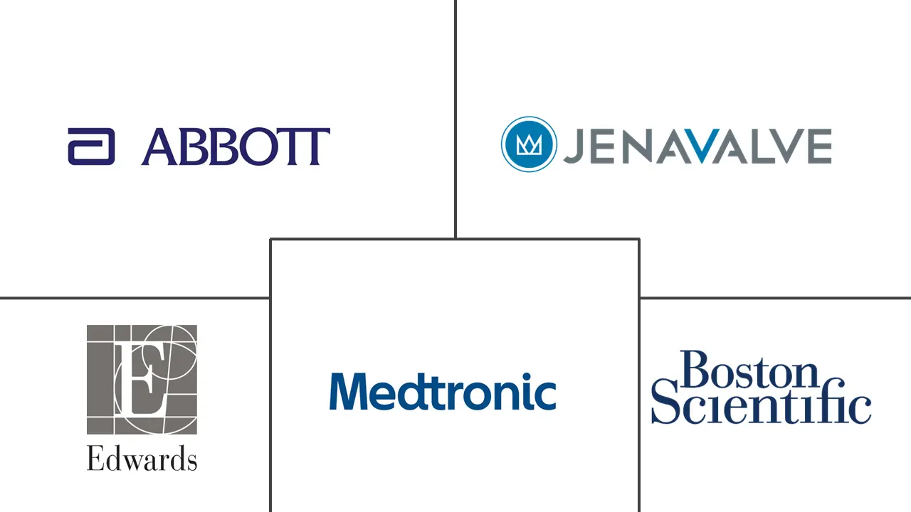 Major players in Transcatheter Heart Valve industry