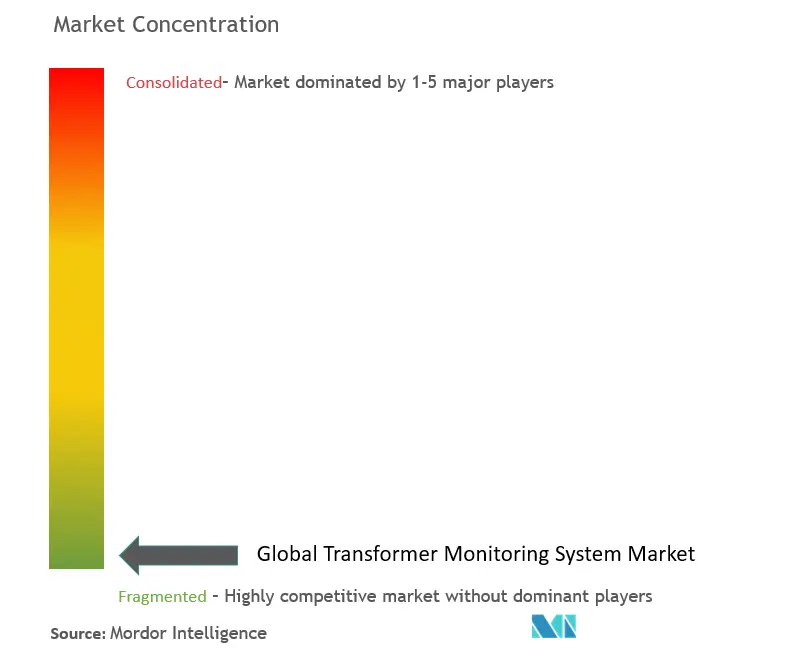Transformer Monitoring System Market Concentration