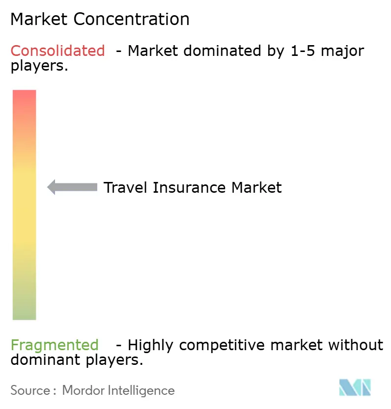 Travel Insurance Market Concentration
