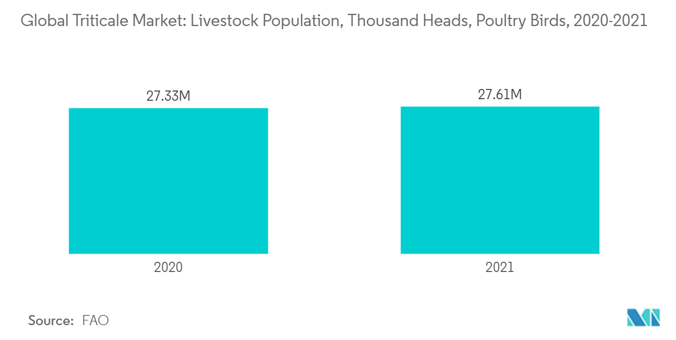 Thị trường Triticale  Dân số chăn nuôi, nghìn con, chim gia cầm, 2020-2021