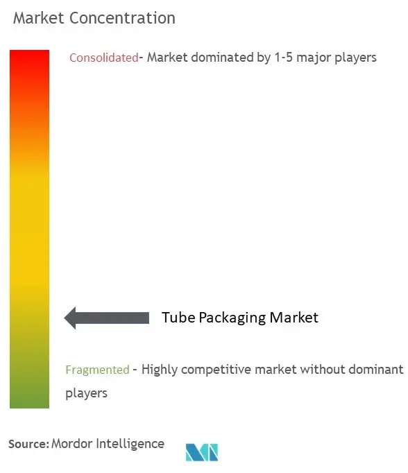 Tube Packaging Market-Market Concentration.jpg