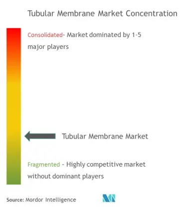 Market Concentration - Tubular Membrane Market (1).png