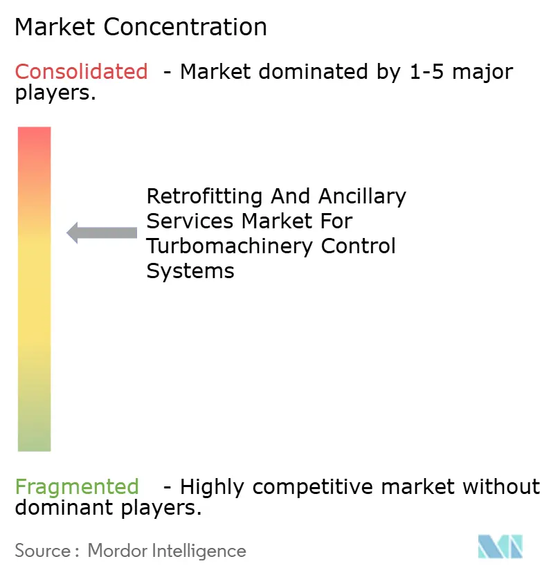 Retrofitting and Ancillary Services Market For Turbomachinery Control Systems Market Concentration