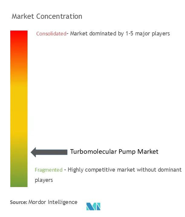 Turbomolecular Pump Market Concentration