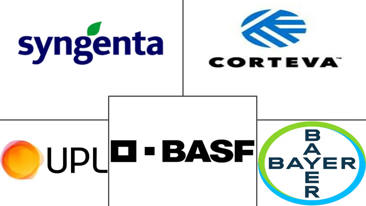 Related Companies Logo