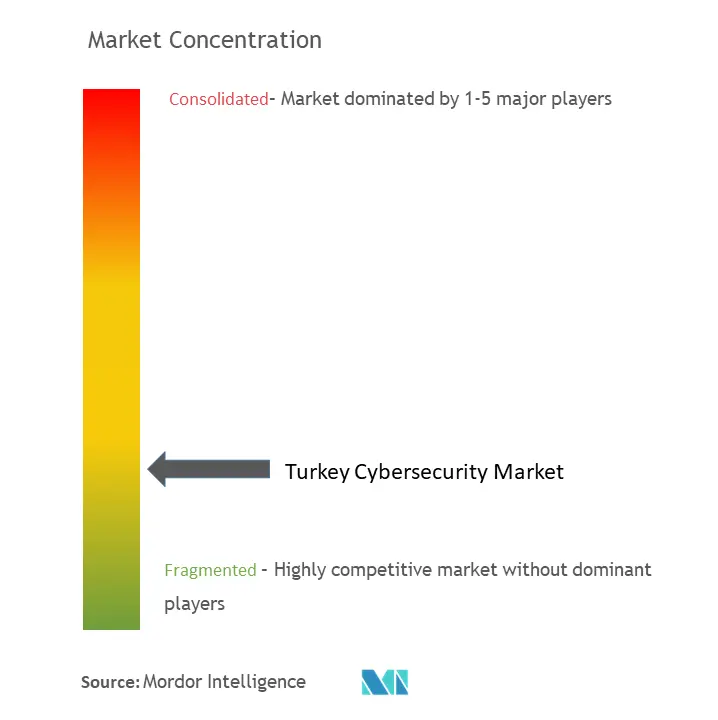 Turkey Cybersecurity Market Concentration