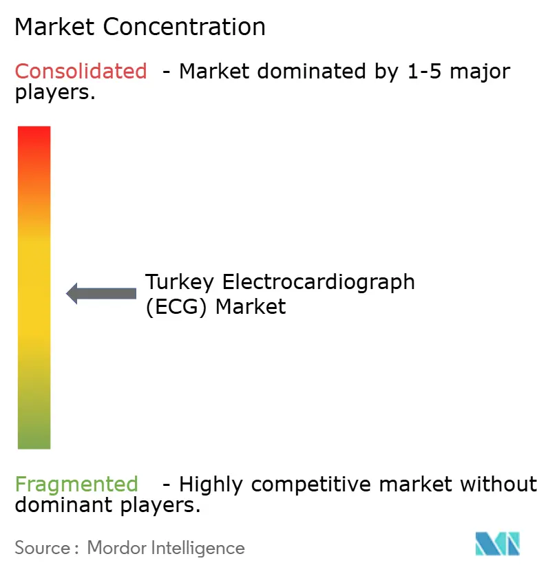 Turkey Electrocardiograph (ECG) Market Concentration
