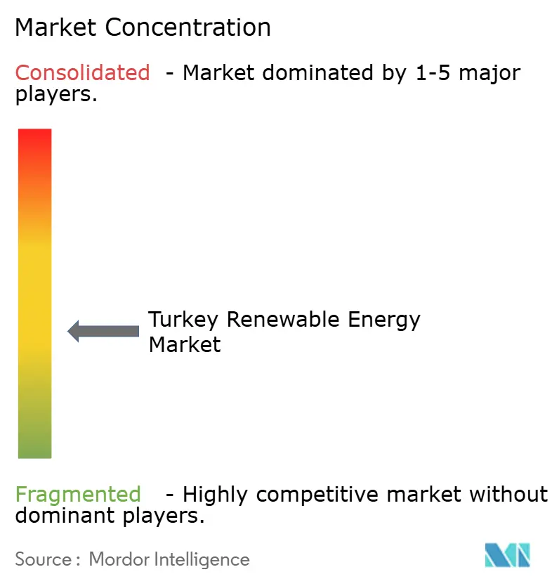 Turkey Renewable Energy Market Concentration