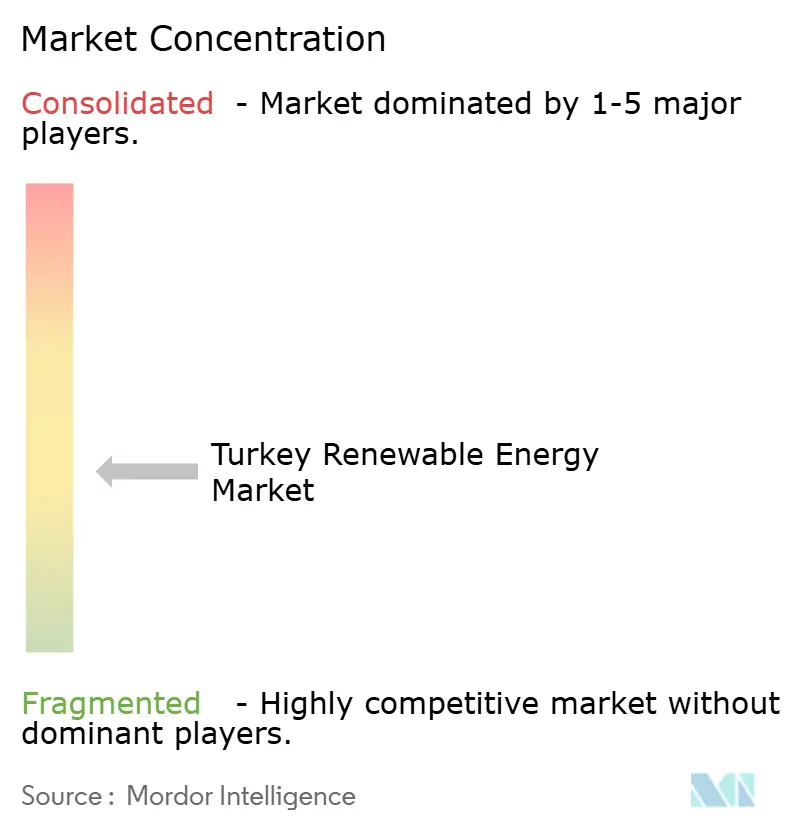 Turkey Renewable Energy Market Concentration