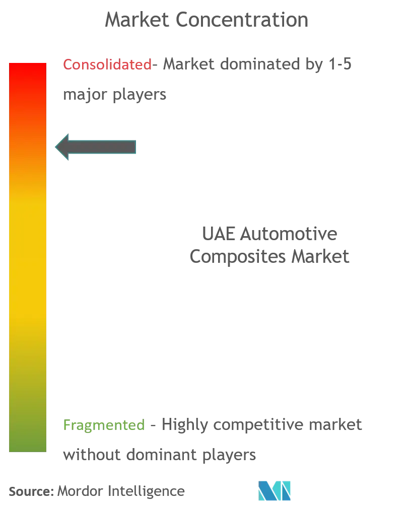 UAE Automotive Composites Market Concentration