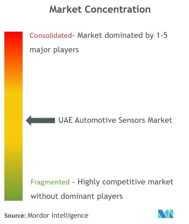 UAE Automotive Sensors Market_Market Concentration.png