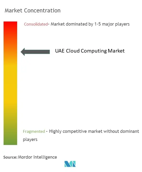 UAE Cloud Computing Market Concentration