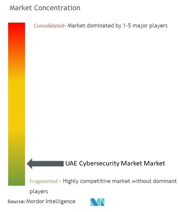 UAE Cybersecurity Market Concentration