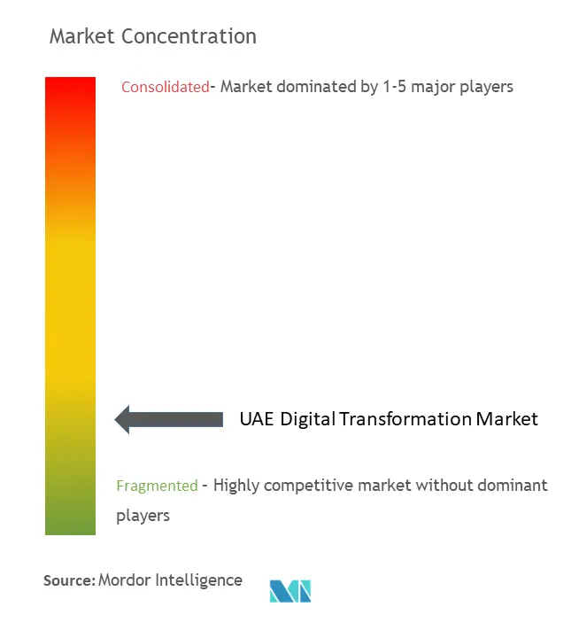 UAE Digital Transformation Market Concentration