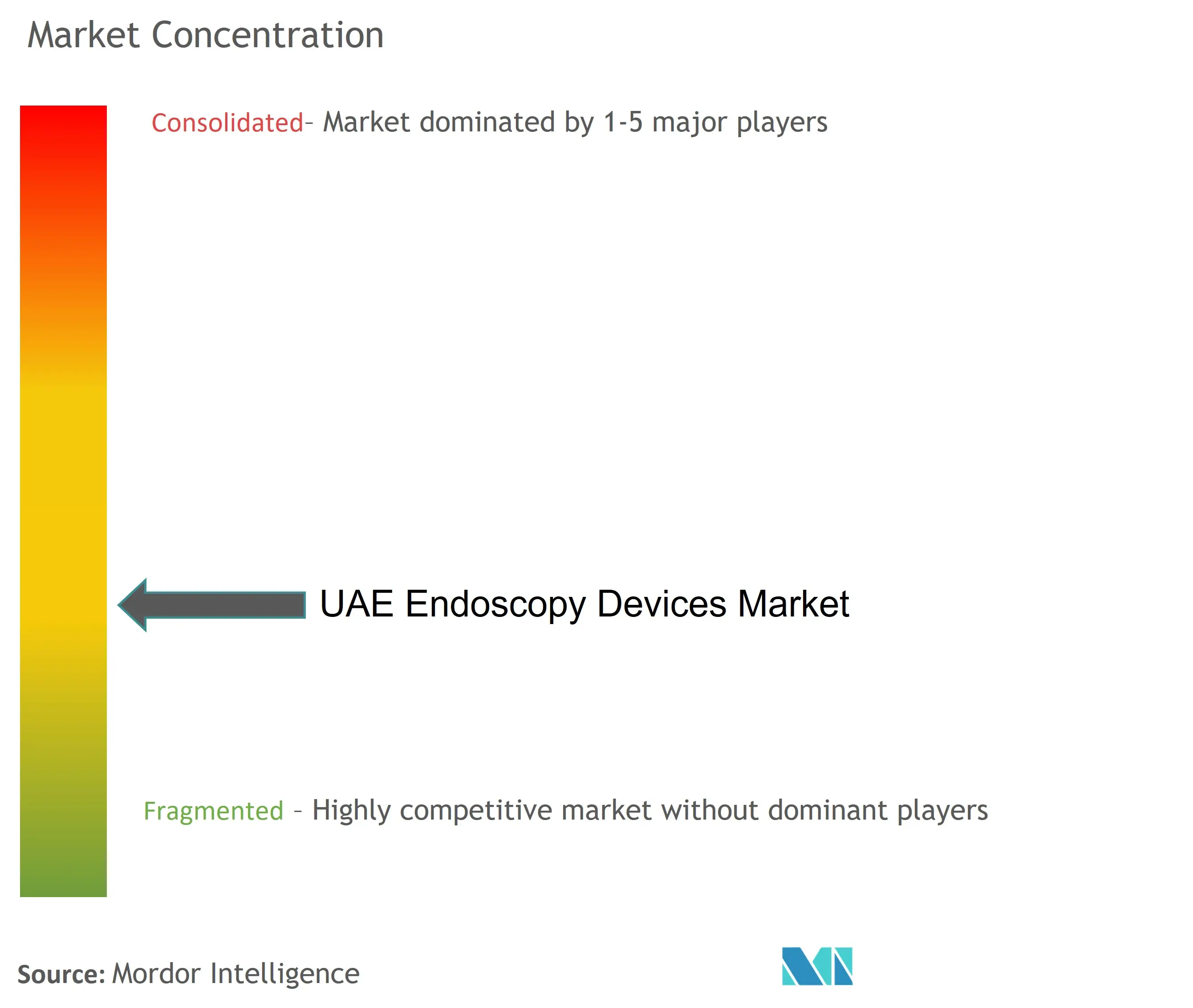 UAE Endoscopy Devices Market Concentration