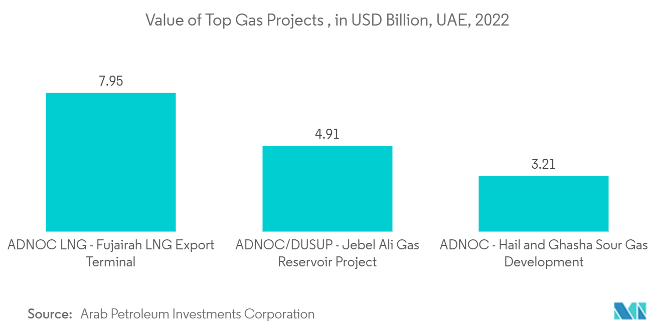 阿联酋地理空间分析市场：顶级天然气项目的价值，单位：十亿美元，阿联酋，2022 年
