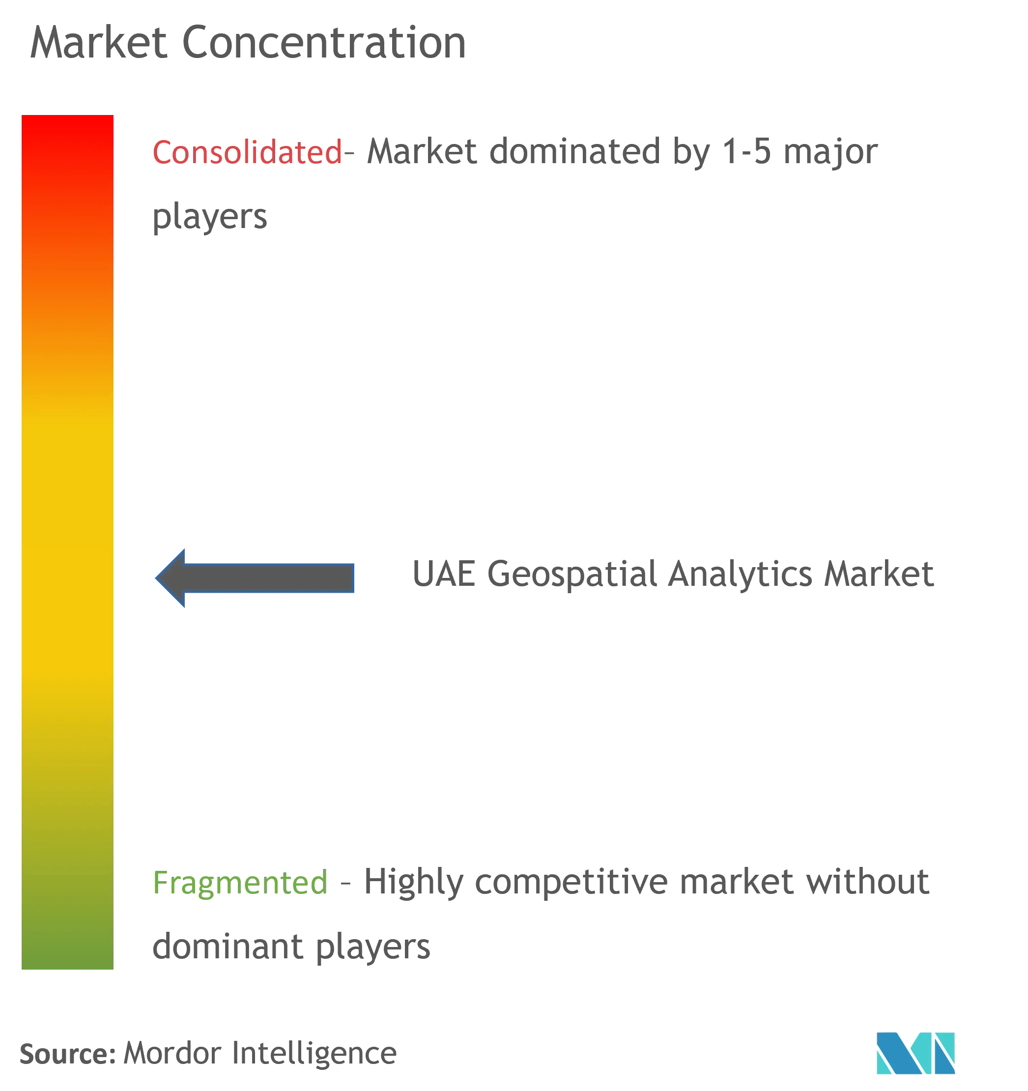 UAE Geospatial Analytics Market Concentration