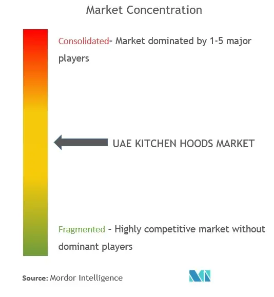 UAE Kitchen Hoods Market Concentration