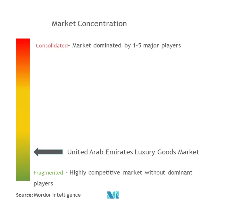 UAE Luxury Goods Market Concentration