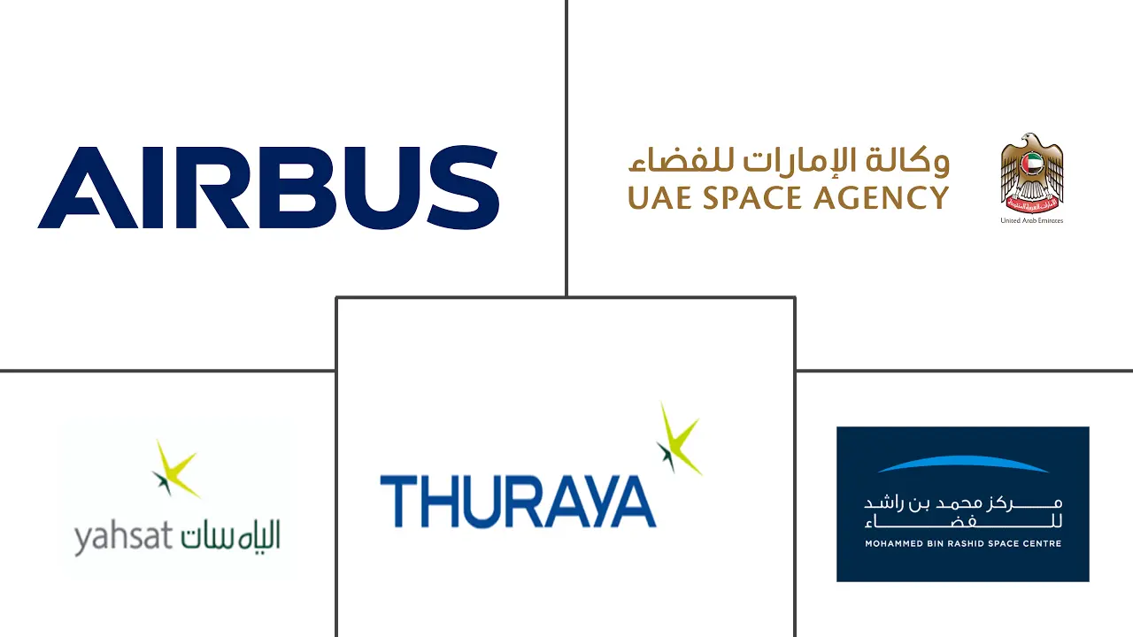 UAE Satellite Imagery Services Market Major Players
