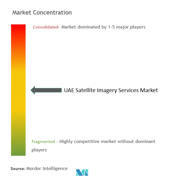 アラブ首長国連邦の衛星画像サービス市場の集中度