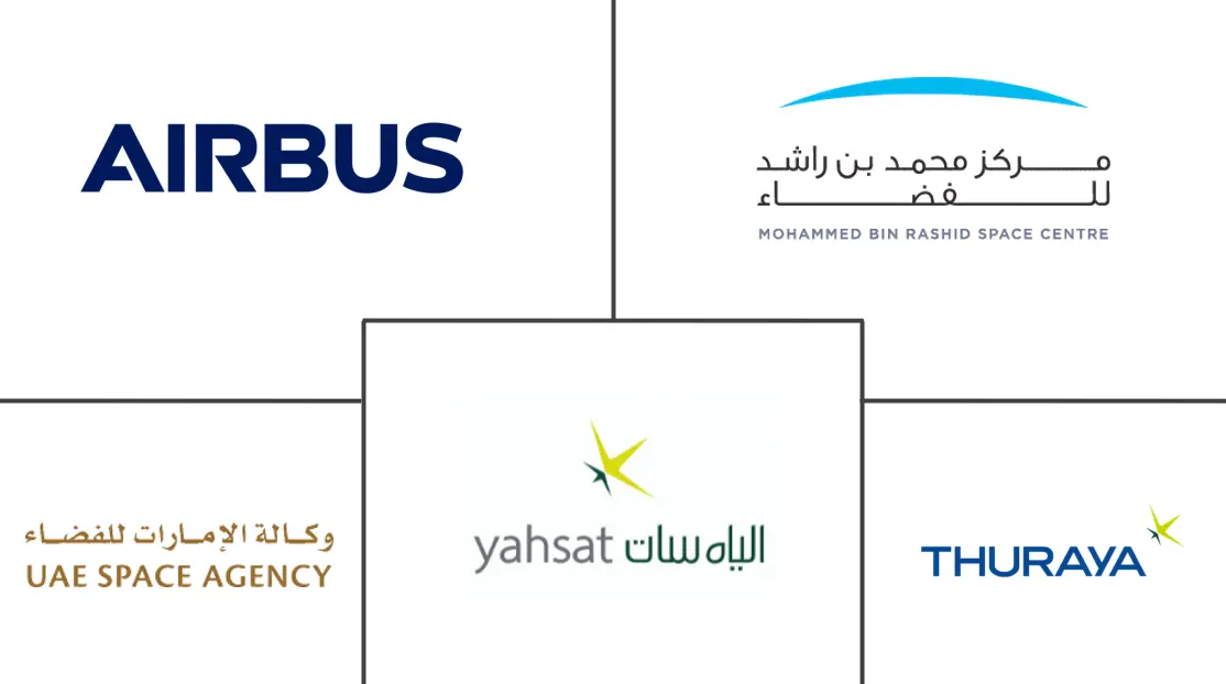 UAE 위성 영상 서비스 시장 주요 업체