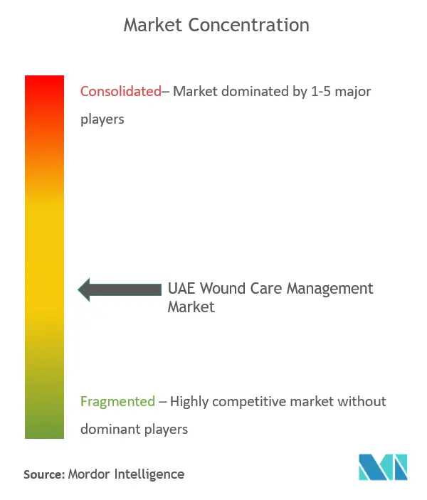 UAE Wound Care Management Market - Market Concentration.PNG