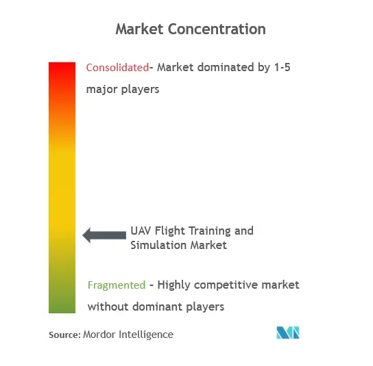 Formation et simulation de vol de dronesConcentration du marché