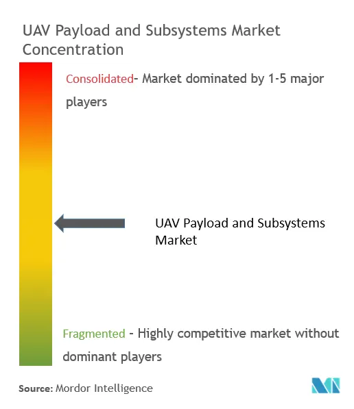 UAVペイロードとサブシステム市場の集中度
