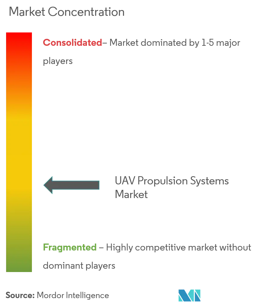 UAV Propulsion Systems Market Concentration