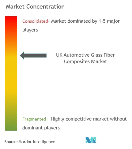 Compuestos de fibra de vidrio para automóviles del Reino UnidoConcentración del Mercado