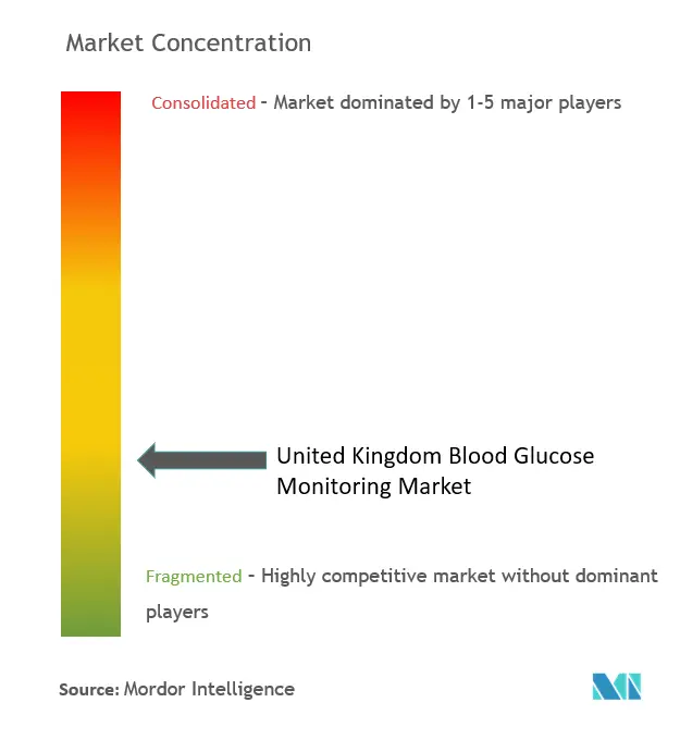 英国の血糖モニタリング市場集中度