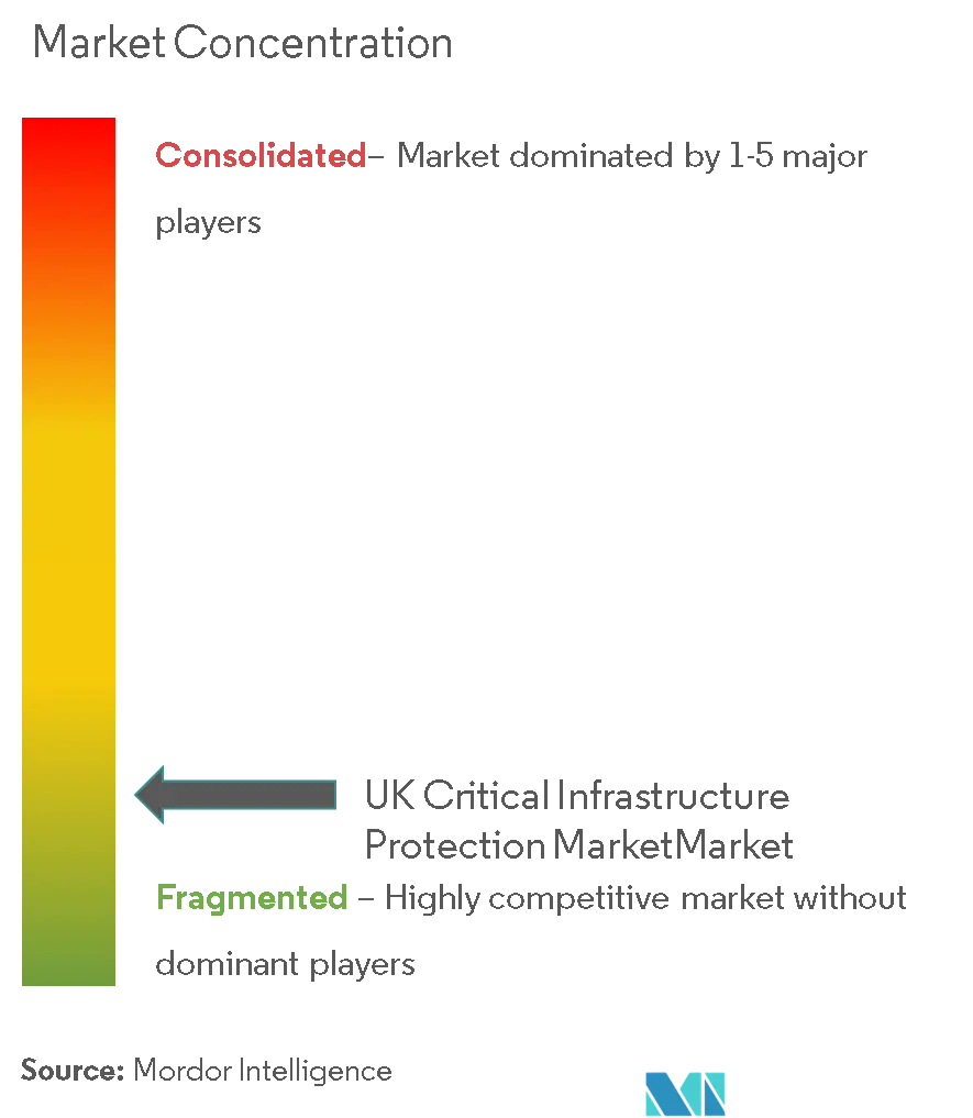 Protección de infraestructuras críticas del Reino UnidoConcentración del Mercado