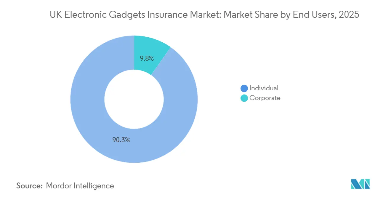UK Electronic Gadgets Insurance Market Share by End Users, 2025