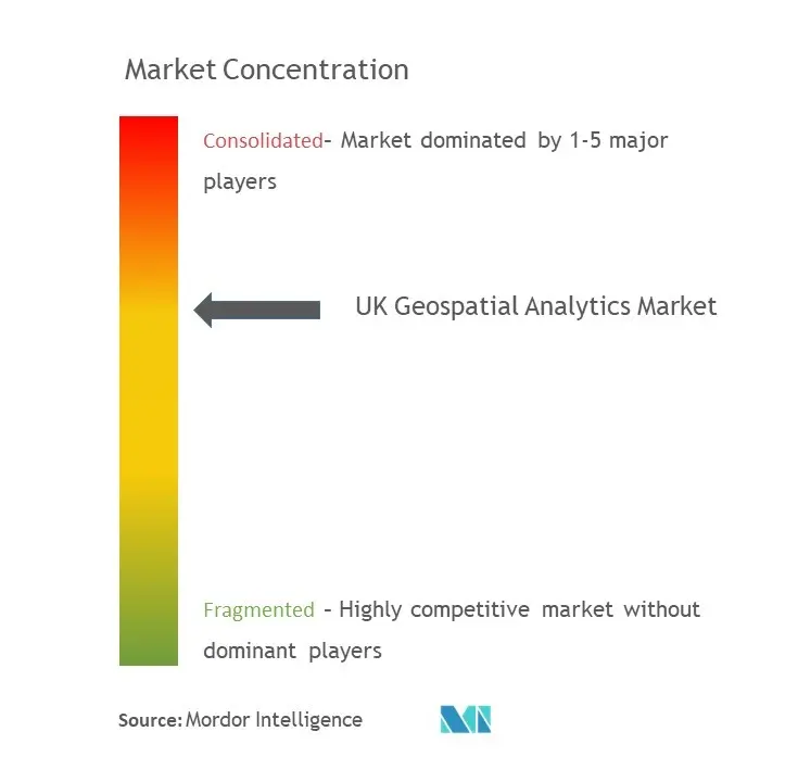 UK Geospatial Analytics Market Concentration