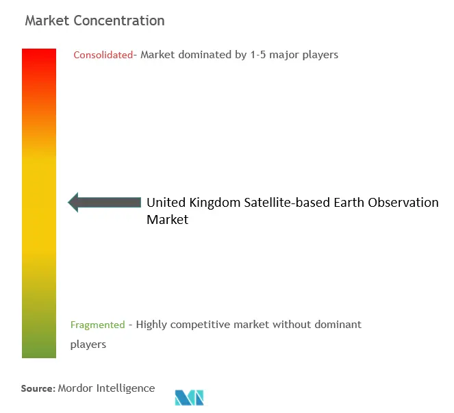 英国の衛星ベースの地球観測市場の集中