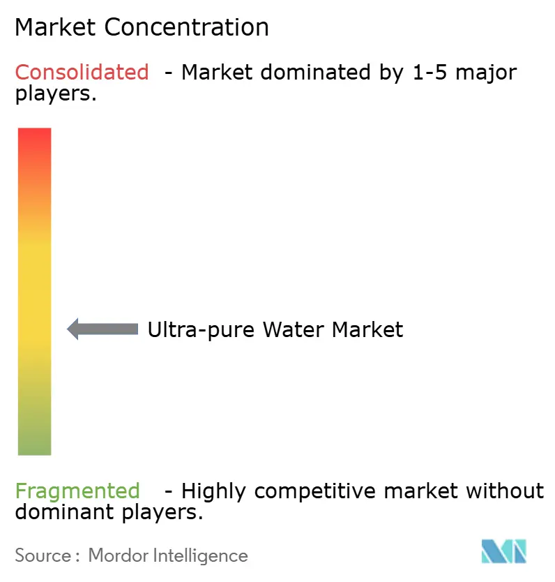 Ultrapure Water Market  - Market Concentration