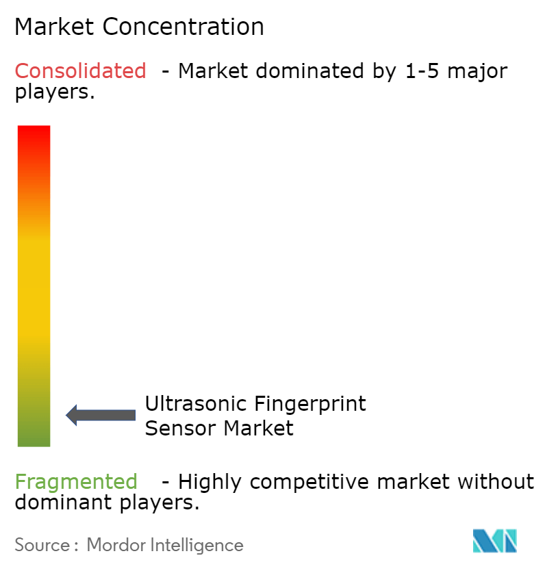  Ultrasonic Fingerprint Sensor Market Concentration