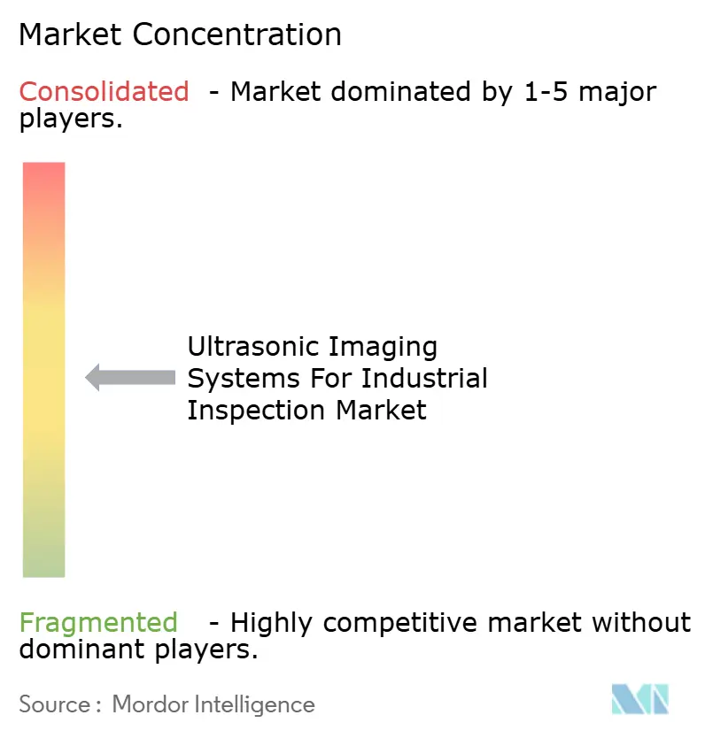 Ultrasonic Imaging Systems For Industrial Inspection Market Concentration