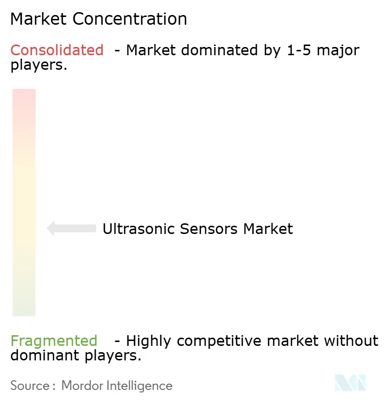 Ultrasonic Sensors Market Concentration