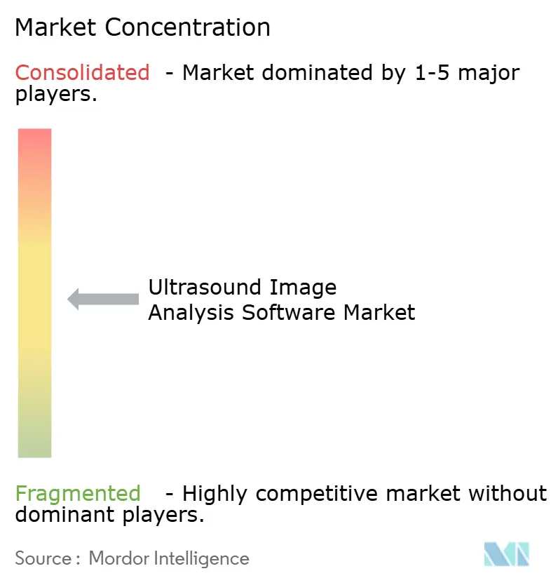 Ultrasound Image Analysis Software Market Concentration