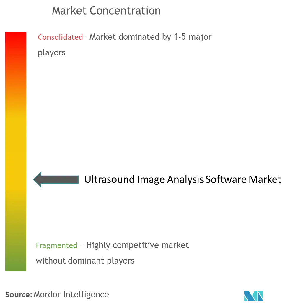 Ultrasound Image Analysis Software Market Concentration