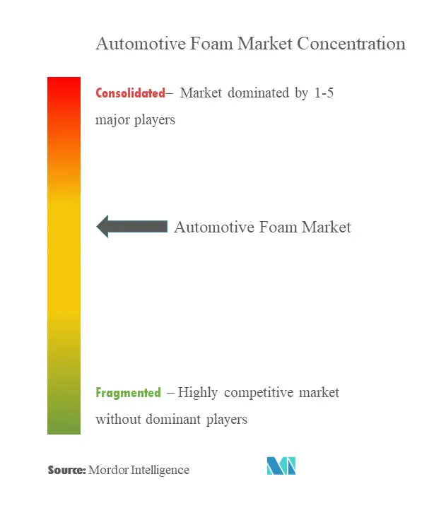 Automotive Foam Market Concentration