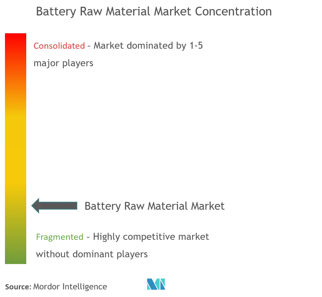 Battery Raw Material Market Concentration.png