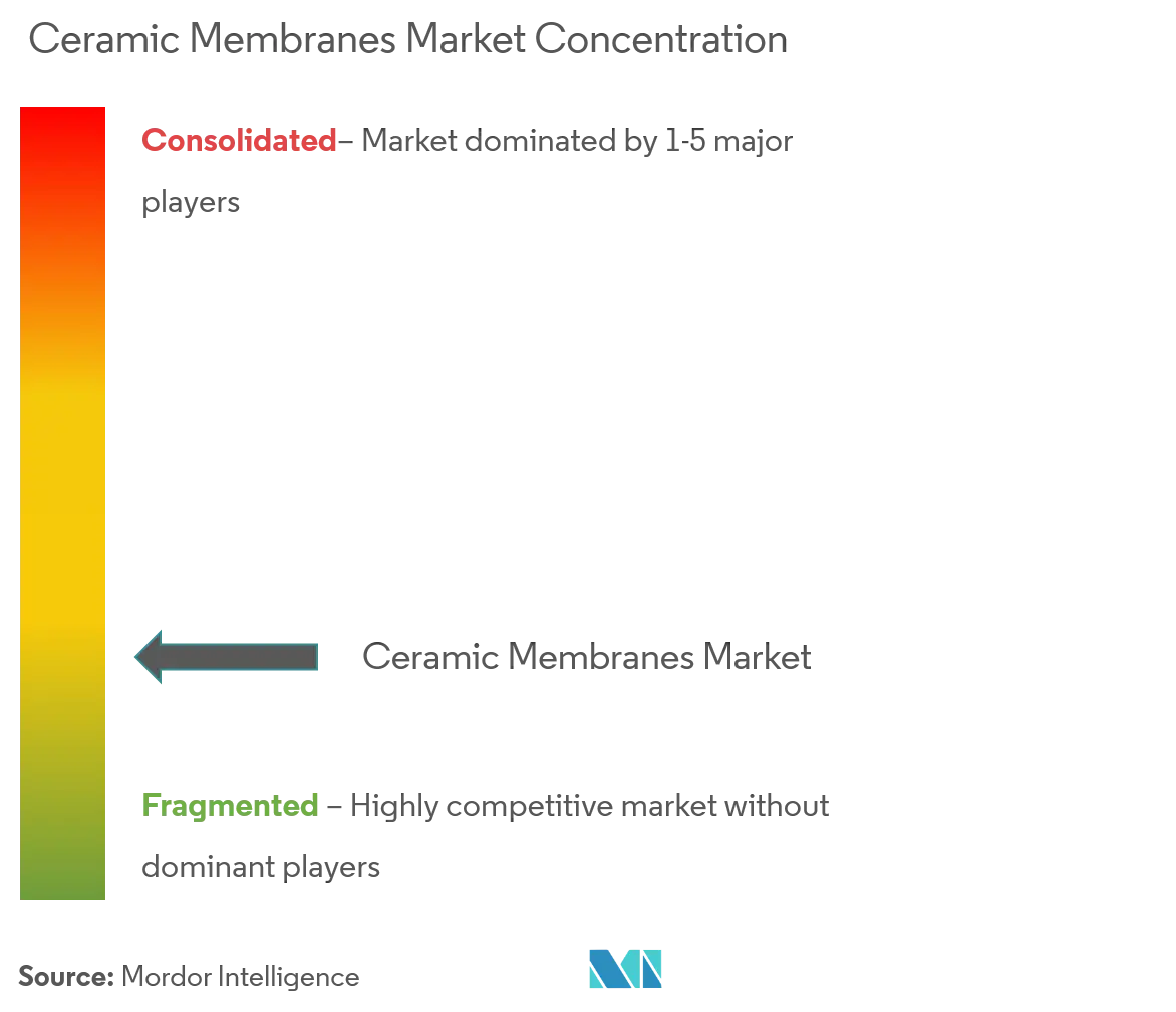 Ceramic Membranes Market - Market Concentration.png