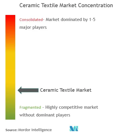 Ceramic Textile Market - Market Concentration.png