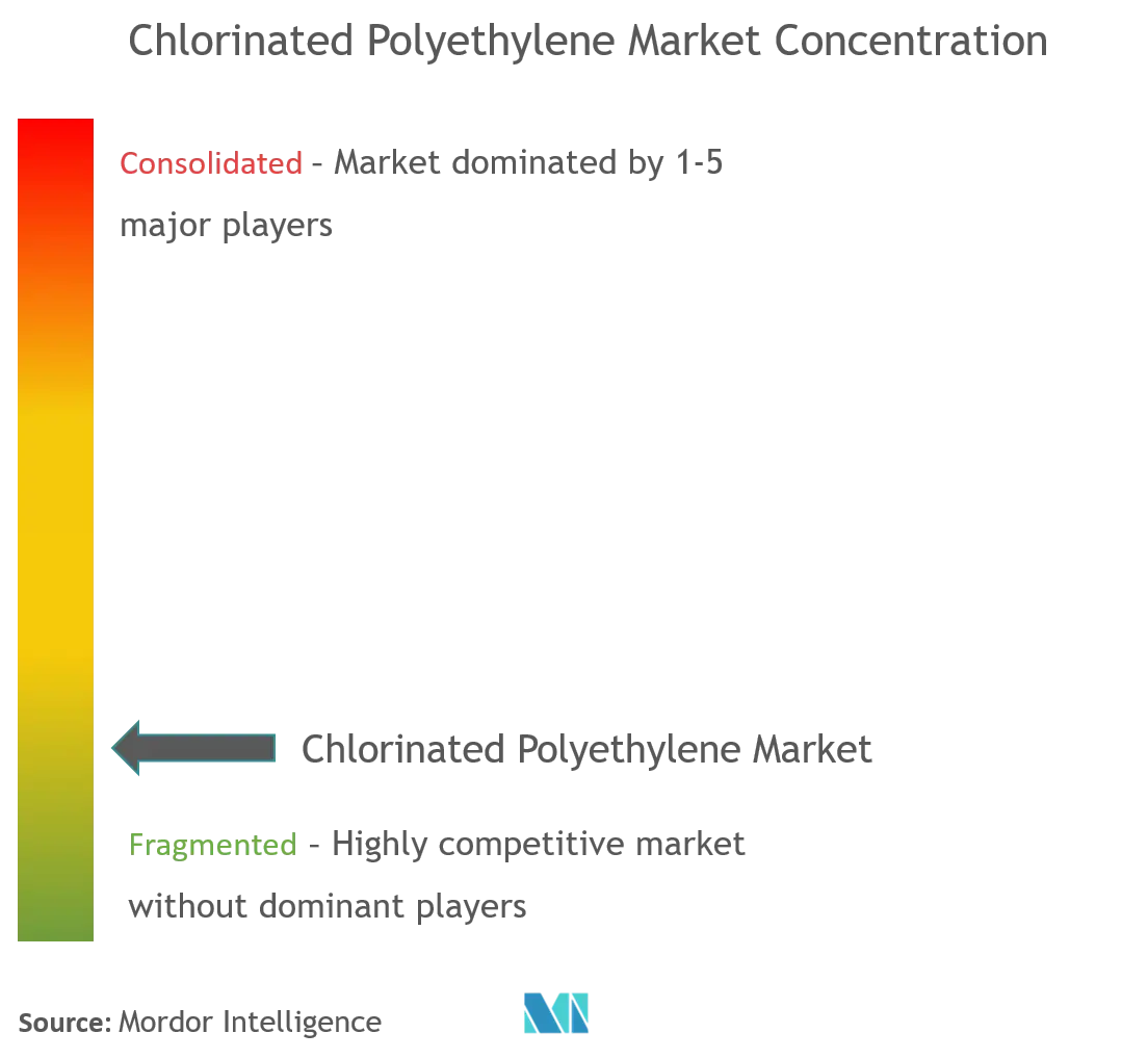 Chlorinated Polyethylene Market Concentration.png
