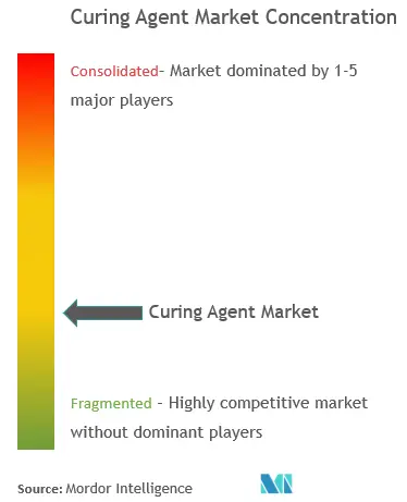 Curing Agent Market - Market Concentration.png