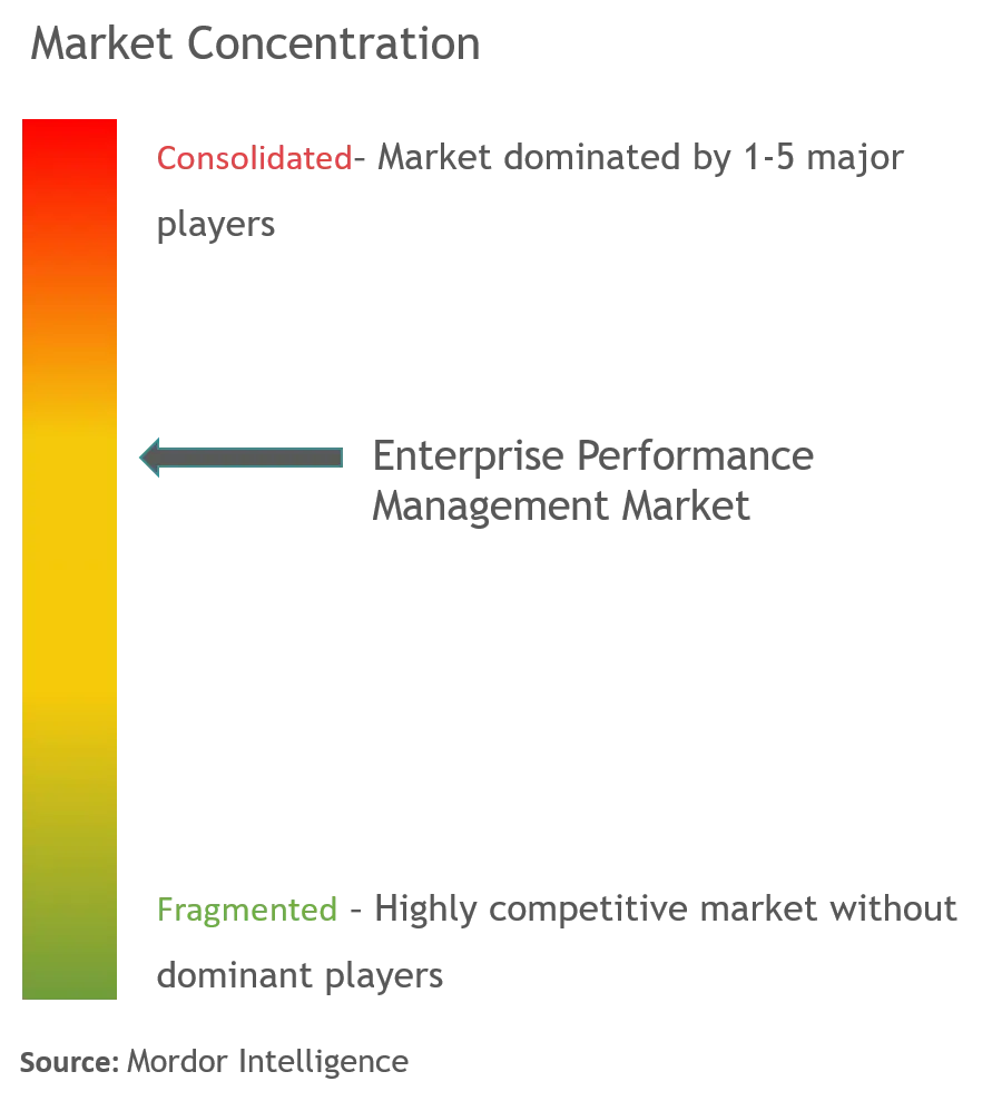 エンタープライズ・パフォーマンス管理市場の集中